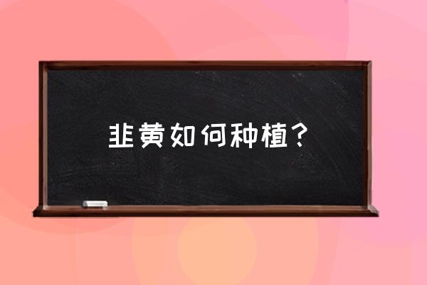 韭黄怎么种植出来的 韭黄如何种植？