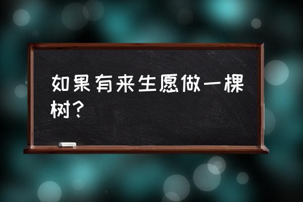 来生想做一棵树 如果有来生愿做一棵树？