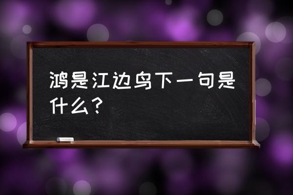 鸿是江边鸟下一句是 鸿是江边鸟下一句是什么？