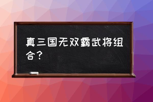 真三国无双霸王异 真三国无双霸武将组合？