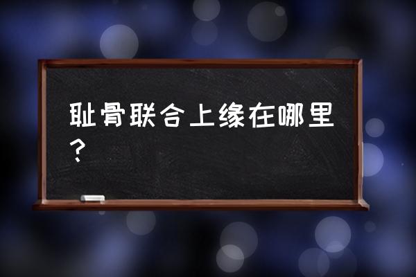 耻骨是在毛毛那吗 耻骨联合上缘在哪里？