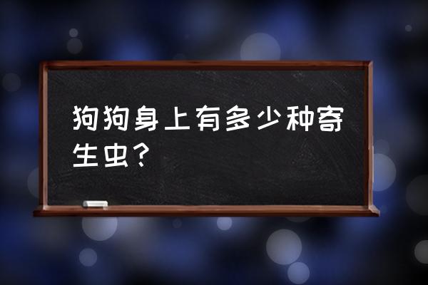 曼氏迭宫绦虫又叫 狗狗身上有多少种寄生虫？