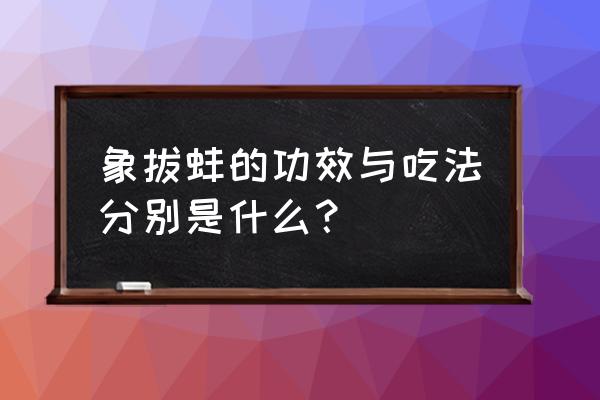 象拔蚌的做法及禁忌 象拔蚌的功效与吃法分别是什么？