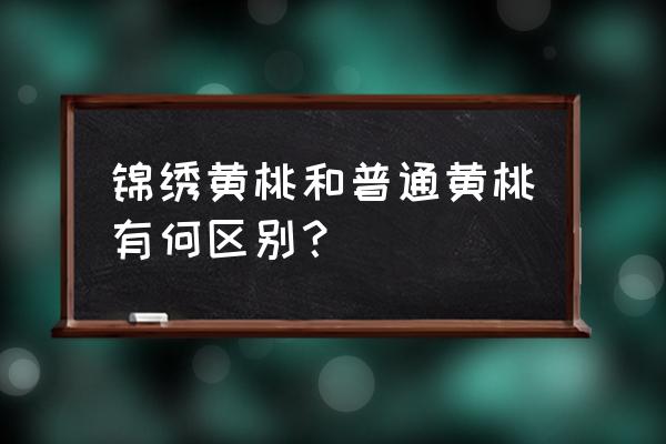 锦绣黄桃功效 锦绣黄桃和普通黄桃有何区别？