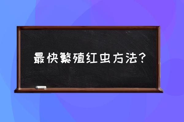 最快繁殖红虫方法 最快繁殖红虫方法？