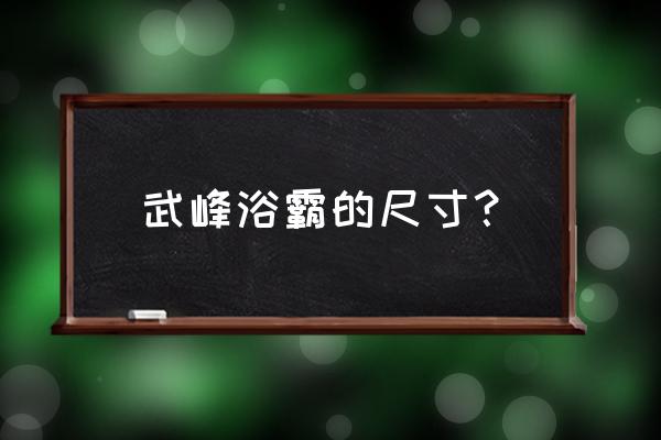 喜临门集成吊顶浴霸 武峰浴霸的尺寸？