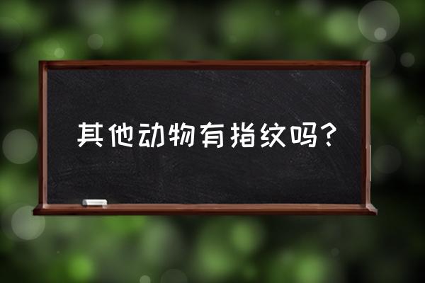 指纹识别是什么生肖 其他动物有指纹吗？