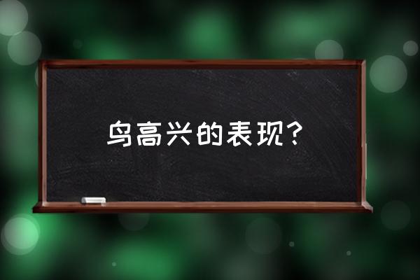 八哥鸟高兴的表现 鸟高兴的表现？