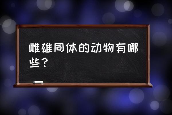 雌雄同体生物有哪些 雌雄同体的动物有哪些？