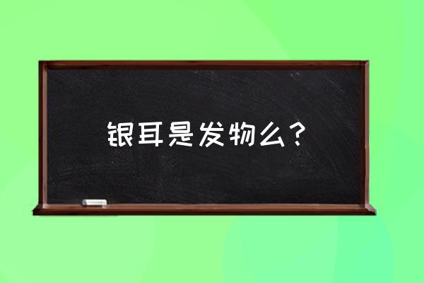 白木耳属于发物吗 银耳是发物么？