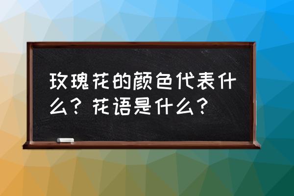 玫瑰颜色的含义 玫瑰花的颜色代表什么？花语是什么？