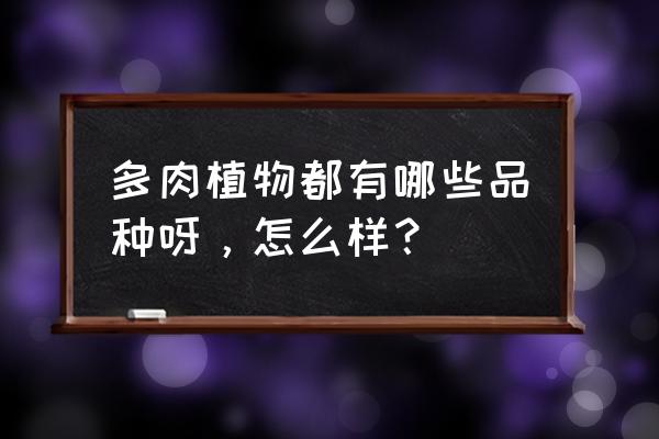 多肉植物的种类及名称 多肉植物都有哪些品种呀，怎么样？