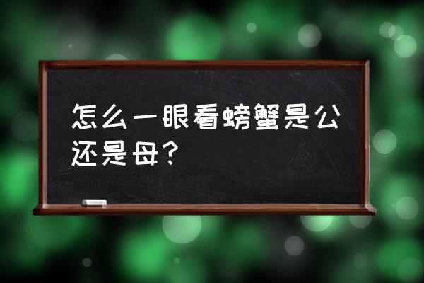 螃蟹怎么看公的还是母的 怎么一眼看螃蟹是公还是母？