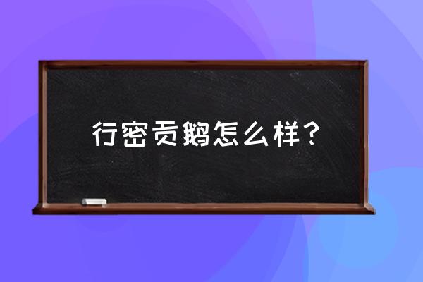 行密贡鹅生意好吗 行密贡鹅怎么样？