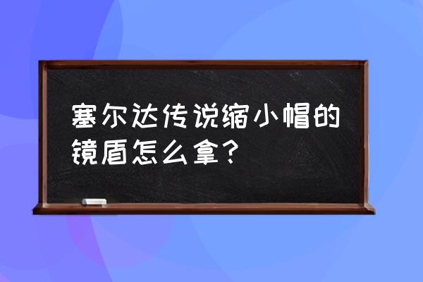 塞尔达传说缩小帽镜盾 塞尔达传说缩小帽的镜盾怎么拿？