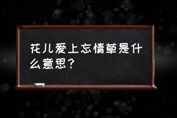 忘情草是什么植物 花儿爱上忘情草是什么意思？