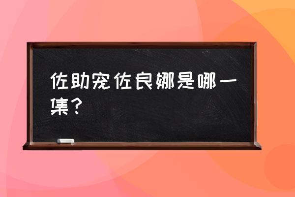 宇智波一族宠佐良娜 佐助宠佐良娜是哪一集？