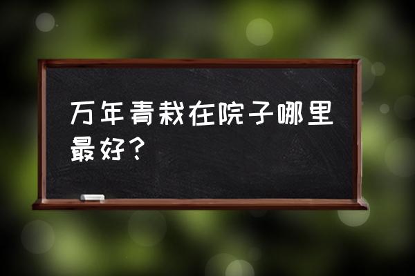 广东万年青适合放在哪 万年青栽在院子哪里最好？