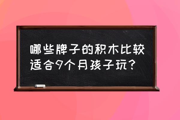 木玩世家的制作工艺 哪些牌子的积木比较适合9个月孩子玩？