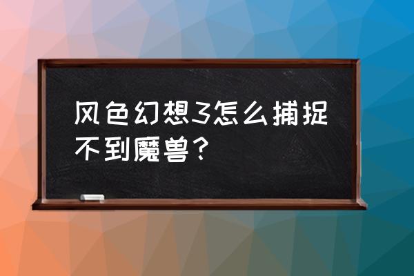 风色幻想3完美攻略 风色幻想3怎么捕捉不到魔兽？