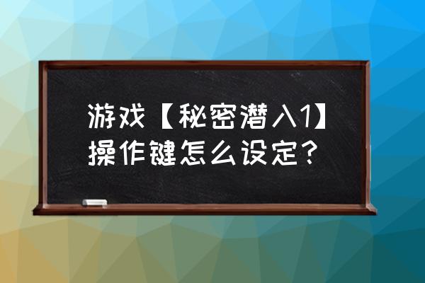 秘密潜入1按键设置 游戏【秘密潜入1】操作键怎么设定？