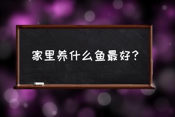 家里是适合养什么鱼 家里养什么鱼最好？