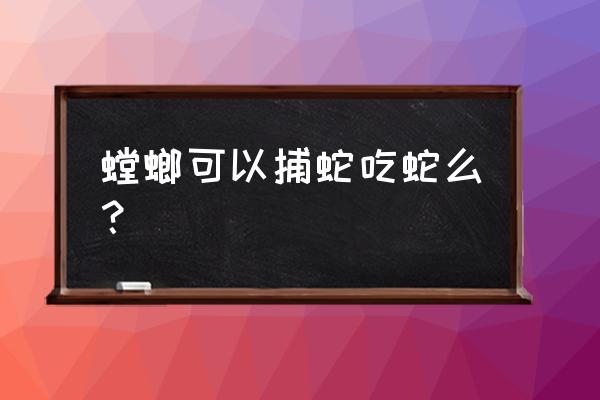 螳螂捕蛇打一生肖 解 螳螂可以捕蛇吃蛇么？