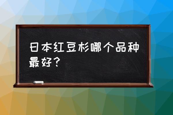 曼地亚红豆杉哪个品种最好 日本红豆杉哪个品种最好？