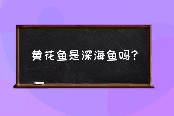 带鱼黄花鱼是深海鱼吗 黄花鱼是深海鱼吗？