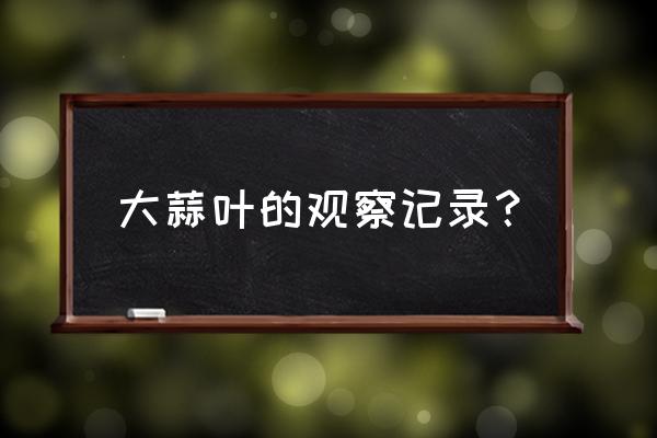 观察日记两天400字 大蒜叶的观察记录？