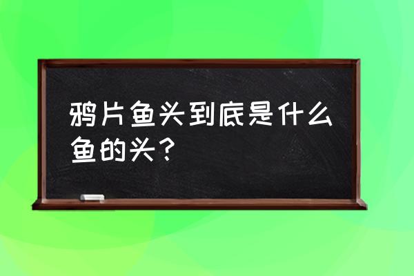 鸦片鱼头是什么鱼的头 鸦片鱼头到底是什么鱼的头？