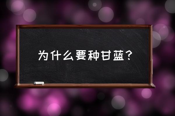 甘蓝有什么功效 为什么要种甘蓝？