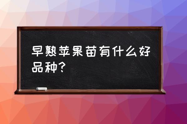 早熟苹果树苗新品种 早熟苹果苗有什么好品种？