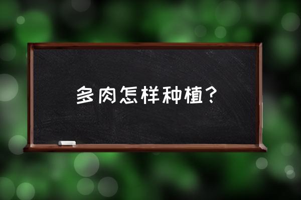 怎样种多肉 种植方法 多肉怎样种植？