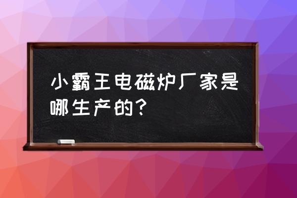 小霸王电磁炉是哪里生产的 小霸王电磁炉厂家是哪生产的？