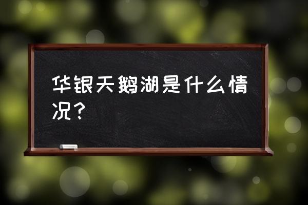 华银天鹅湖2020 华银天鹅湖是什么情况？