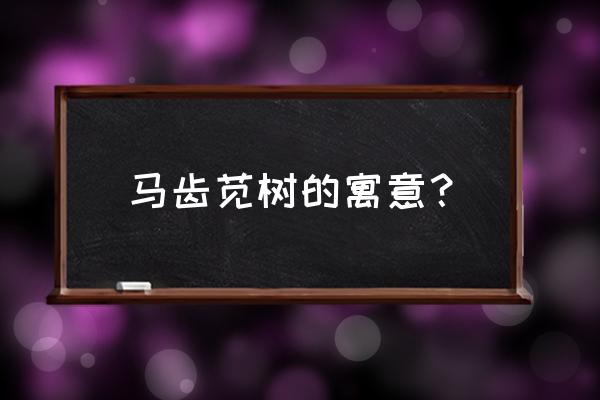 马齿苋树寓意是什么 马齿苋树的寓意？