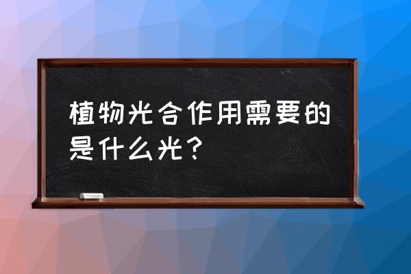 植物的光合作用需要什么 植物光合作用需要的是什么光？