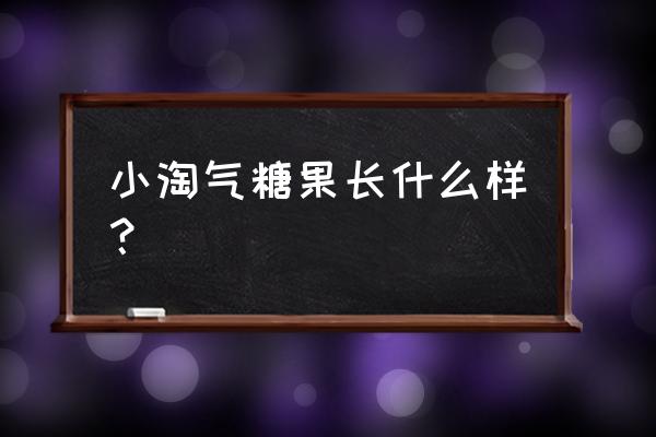 小淘气糖是哪里生产的 小淘气糖果长什么样？