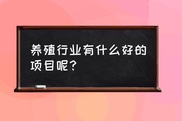 搞养殖业什么项目好 养殖行业有什么好的项目呢？