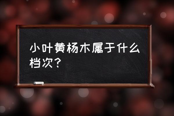 小叶黄杨木的功效与作用 小叶黄杨木属于什么档次？