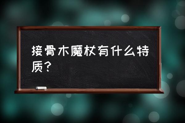 接骨木魔杖含义 接骨木魔杖有什么特质？