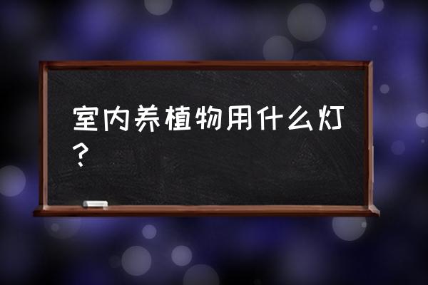 室内植物生长灯 室内养植物用什么灯？