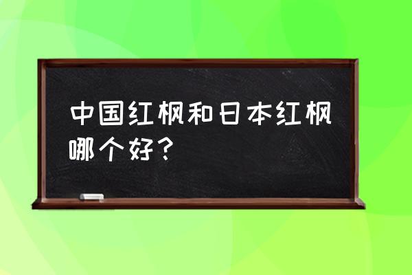 中国红枫和日本红枫哪个好 中国红枫和日本红枫哪个好？