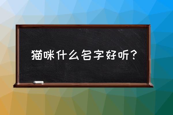 宠物猫起什么名字好听 猫咪什么名字好听？