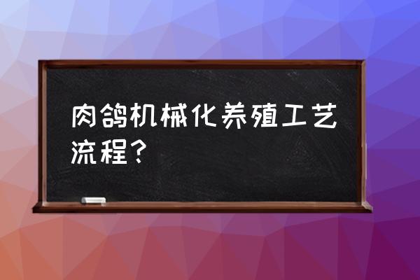 机械化家禽养殖 肉鸽机械化养殖工艺流程？