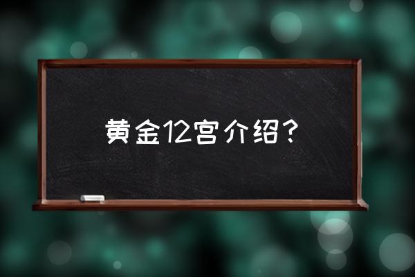 黄金十二宫篇 黄金12宫介绍？