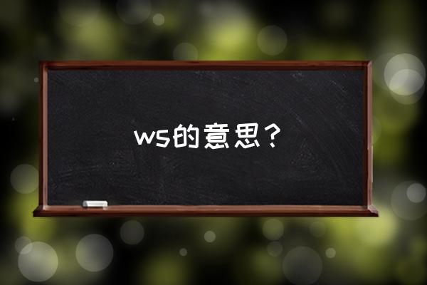 ws是代表什么意思 ws的意思？