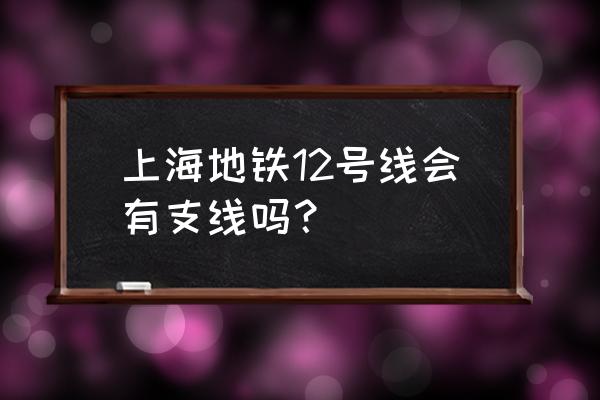 12号线延伸 上海地铁12号线会有支线吗？