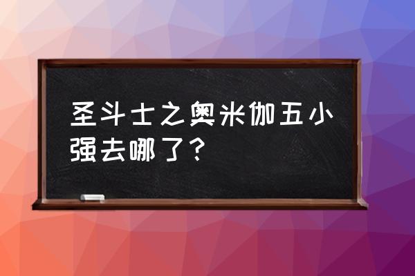 圣斗士星矢欧米伽紫龙 圣斗士之奥米伽五小强去哪了？